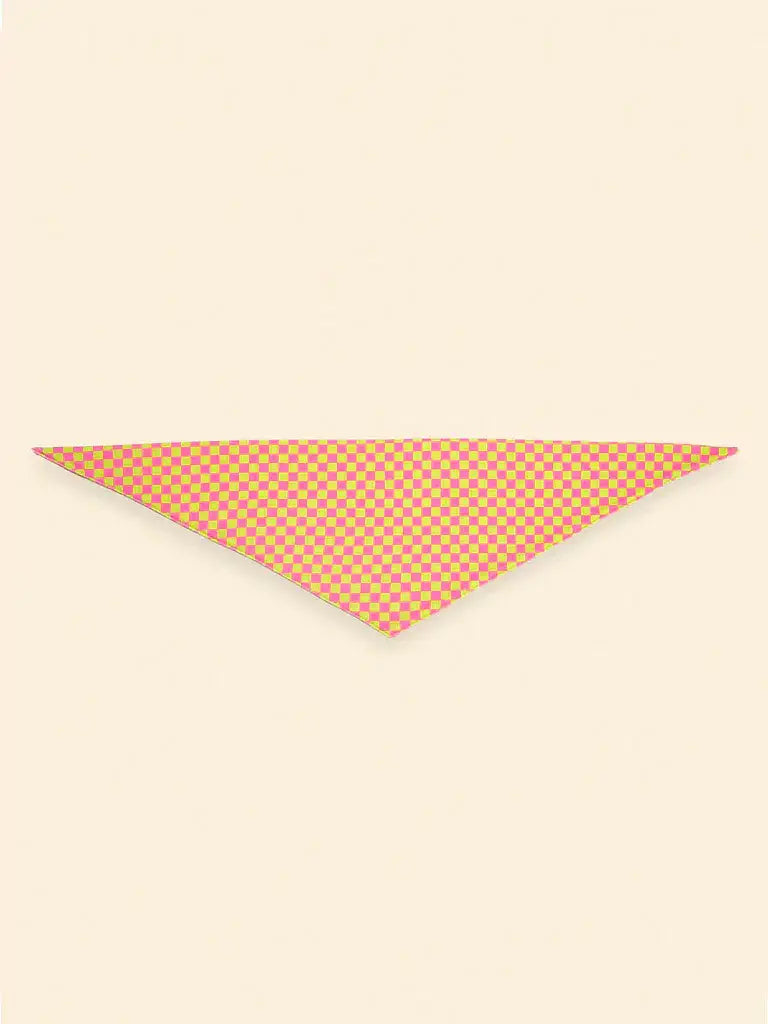 Weekend Picnic Bandana