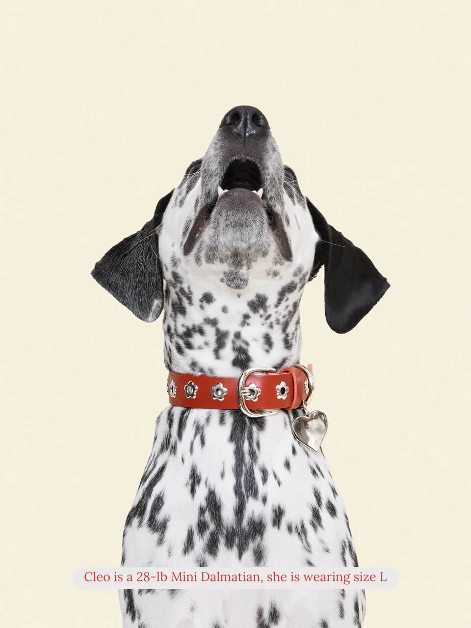 Ruby - Flower Power Collar