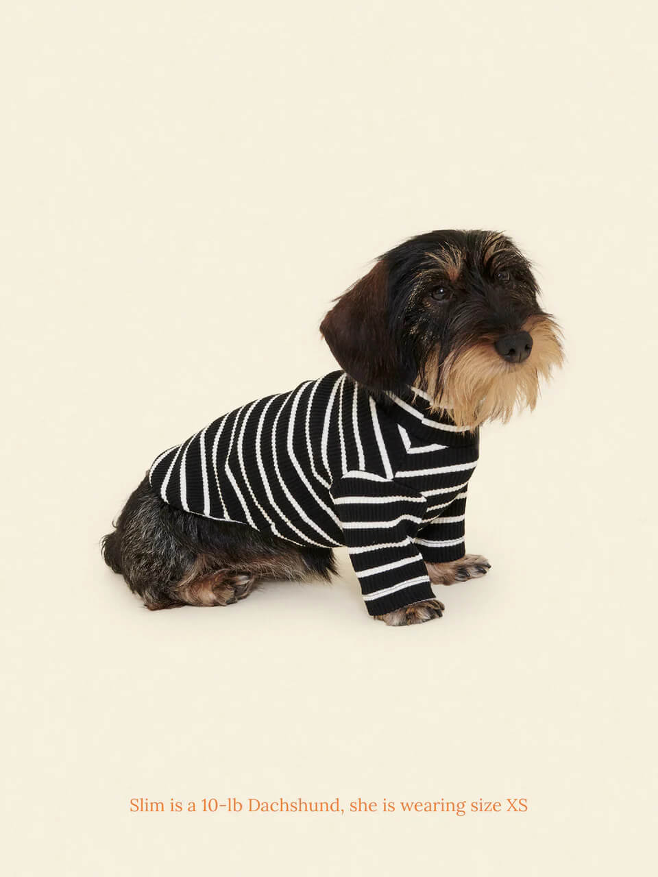 Café in Paris Sweatshirt