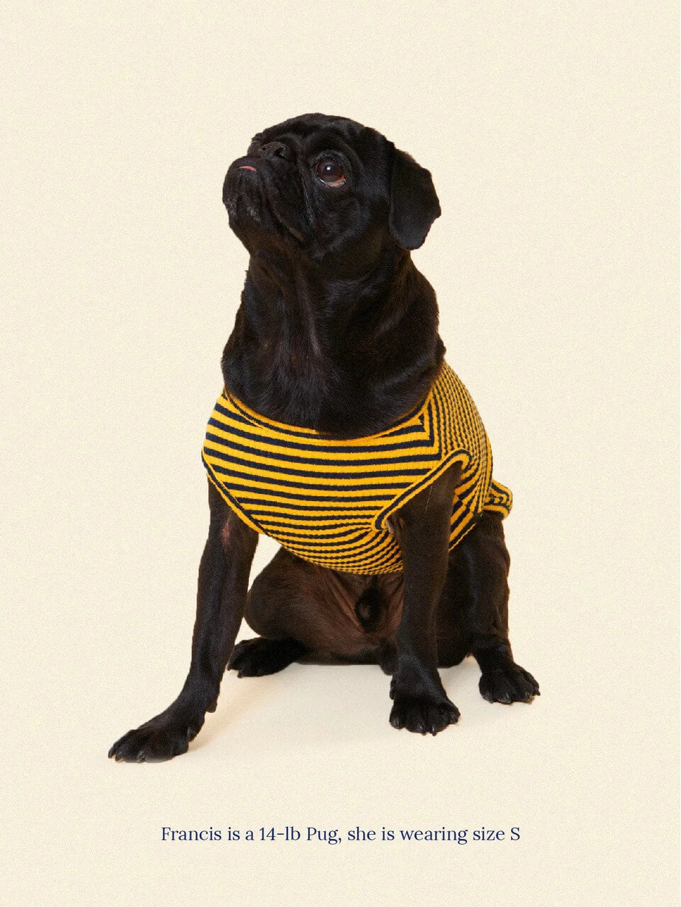 Met on Bumble Sleeveless Shirt
