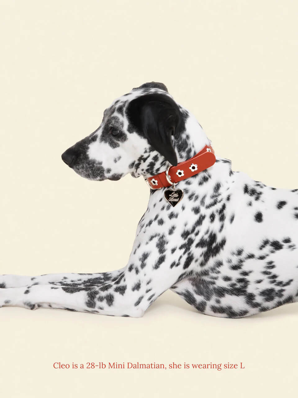 Ruby - Flower Power Collar