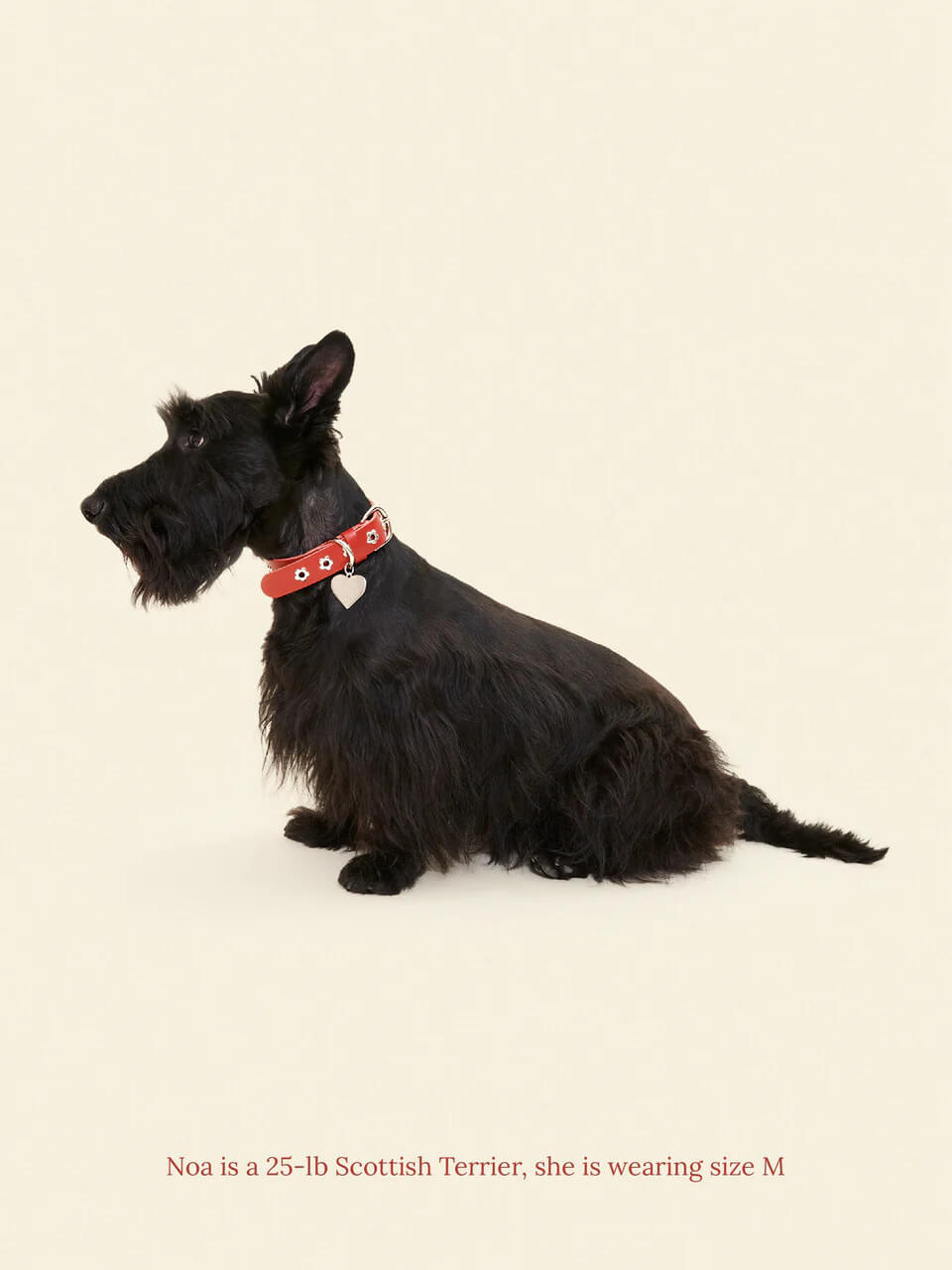 Ruby - Flower Power Collar