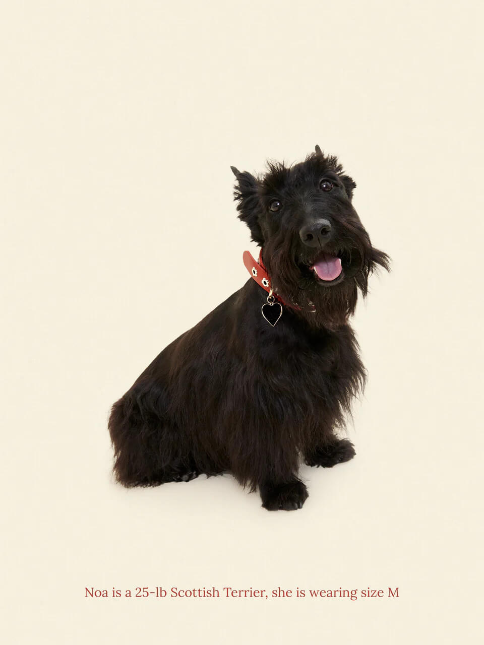 Ruby - Flower Power Collar