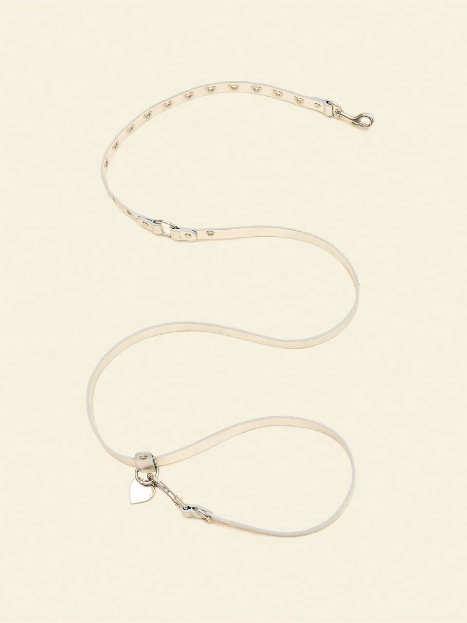 You Mean The World To Me Leash - Silver
