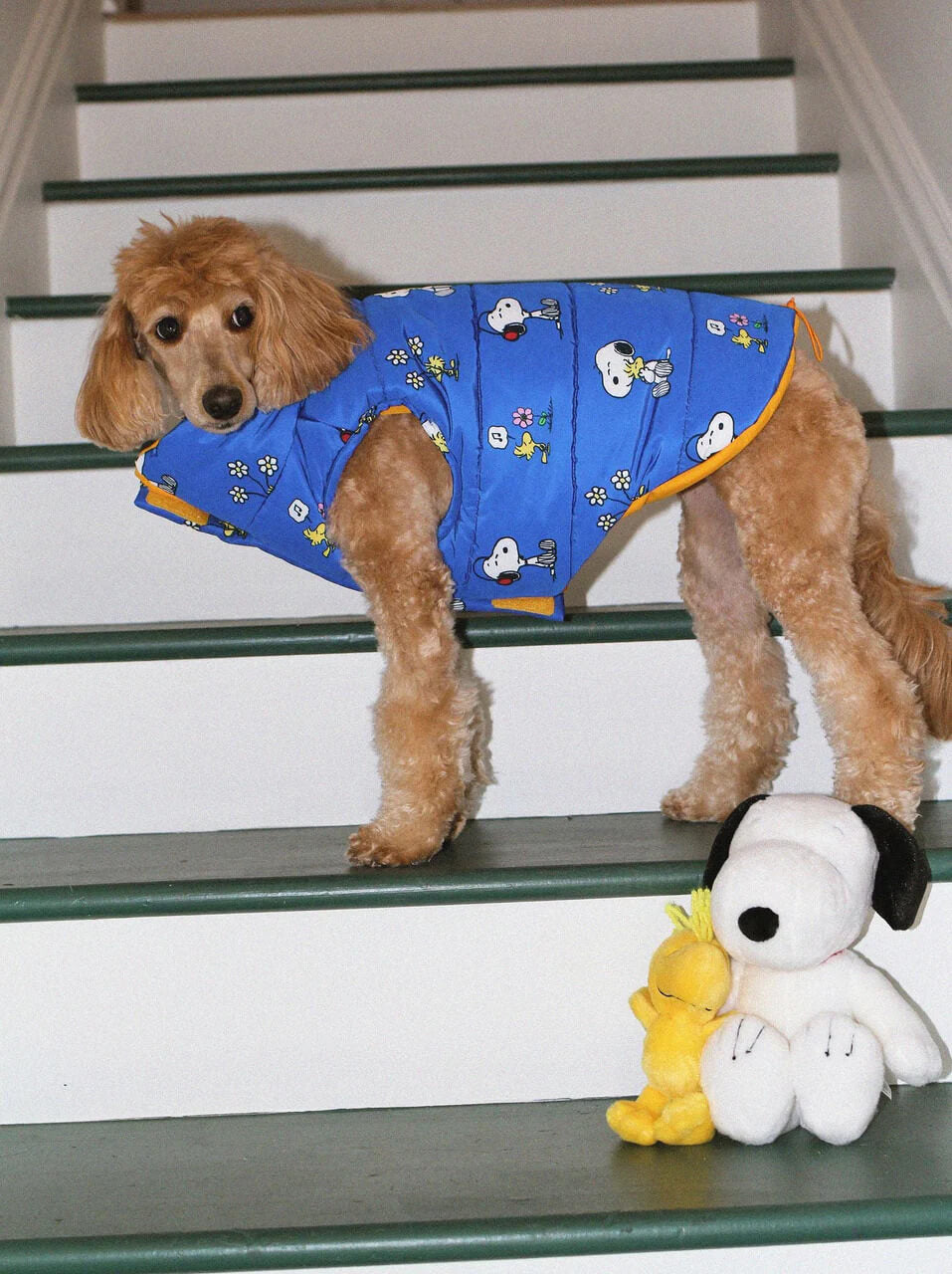 Snoopy and Woodstock Puffer Jacket - PEANUTS