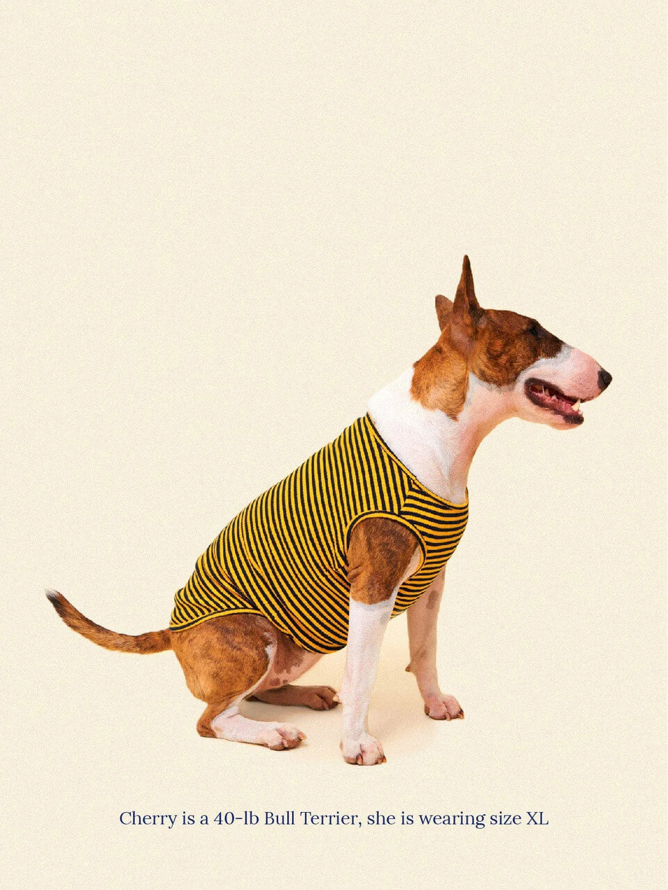 Met on Bumble Sleeveless Shirt