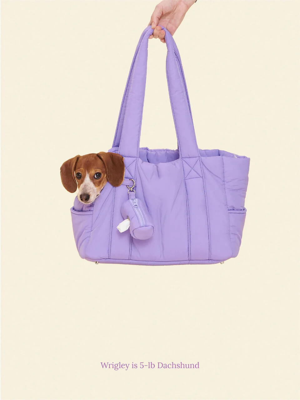 The Like Daily Carrier - Ube