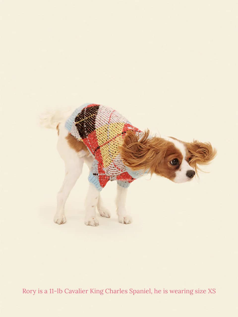 Lauda Cardi Cirque Sweater x Lisa Says Gah