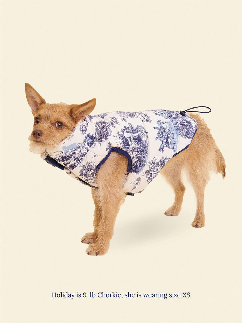 Manhunt Toile Puffer Jacket - Rachel Antonoff