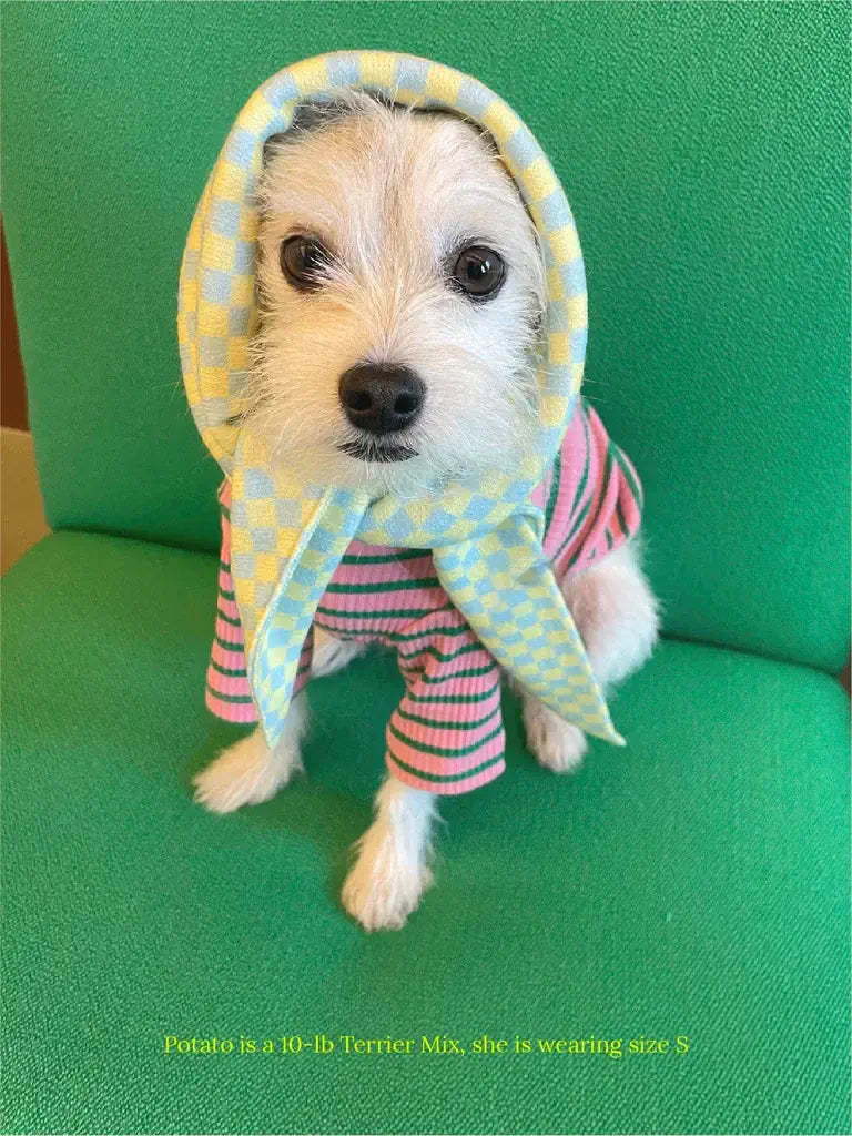 Calm and Collected Bandana