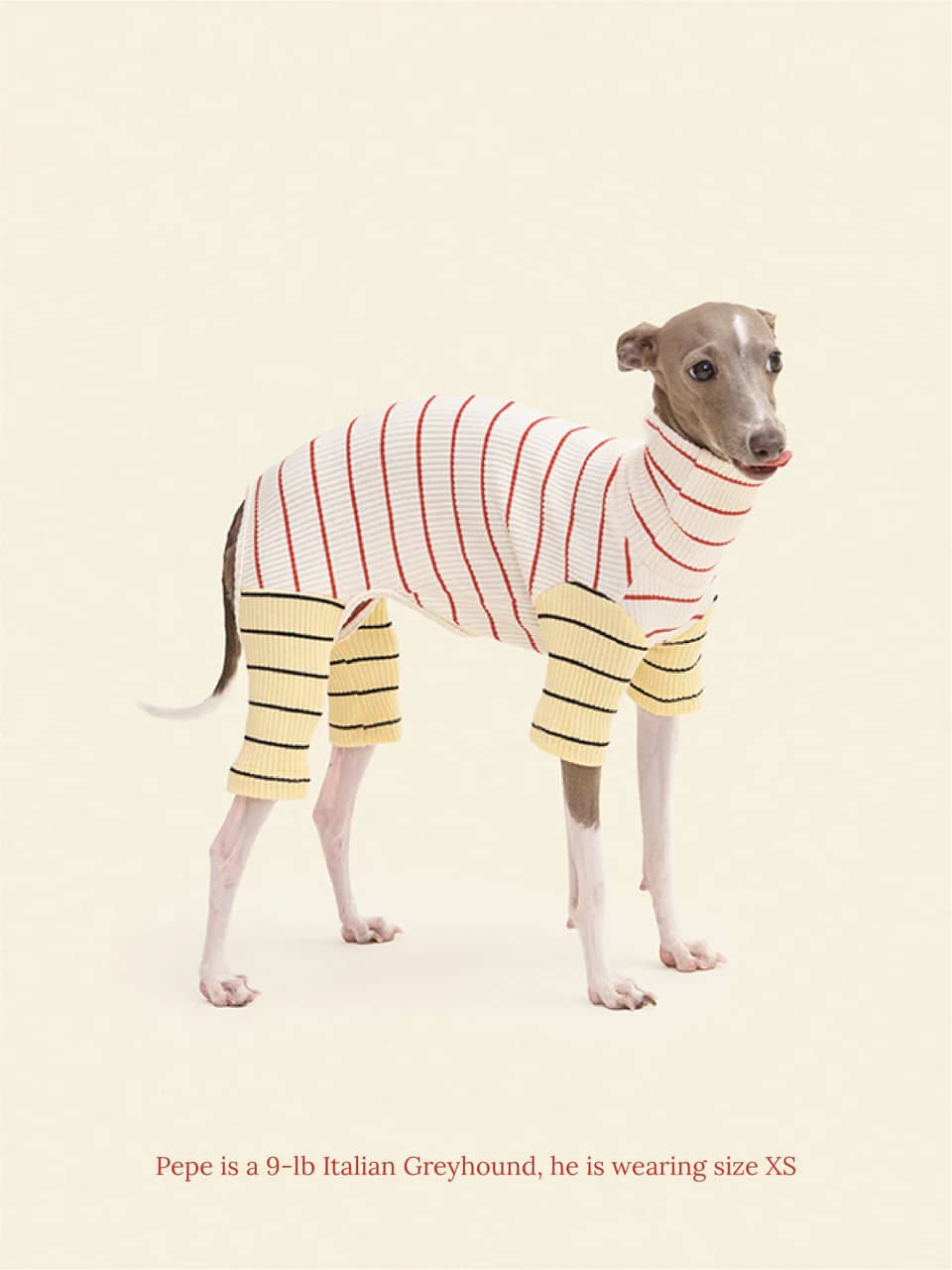 Peppermint Onesie - Dusen Dusen