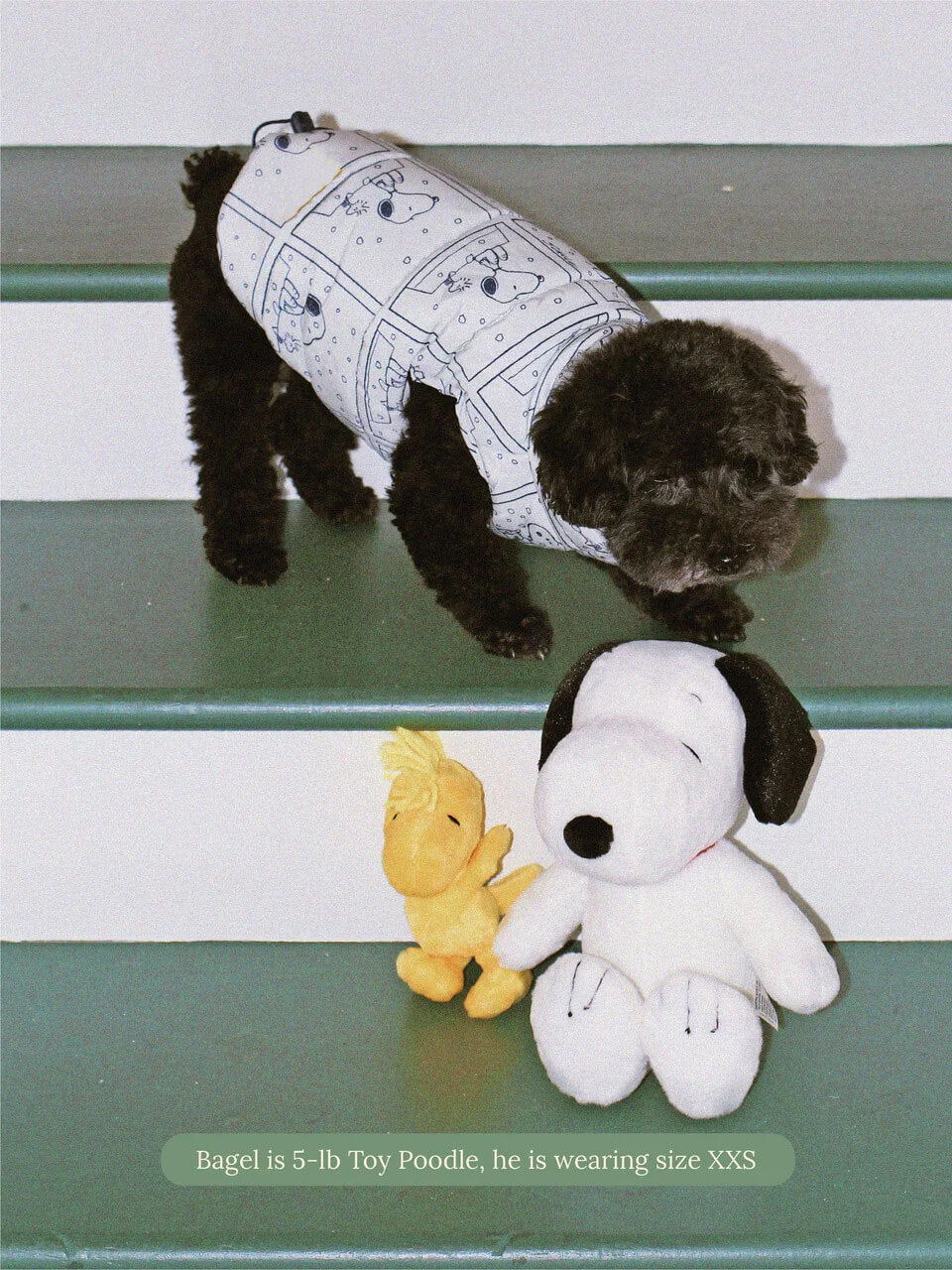 Peanuts Comic Strip Puffer Jacket - PEANUTS