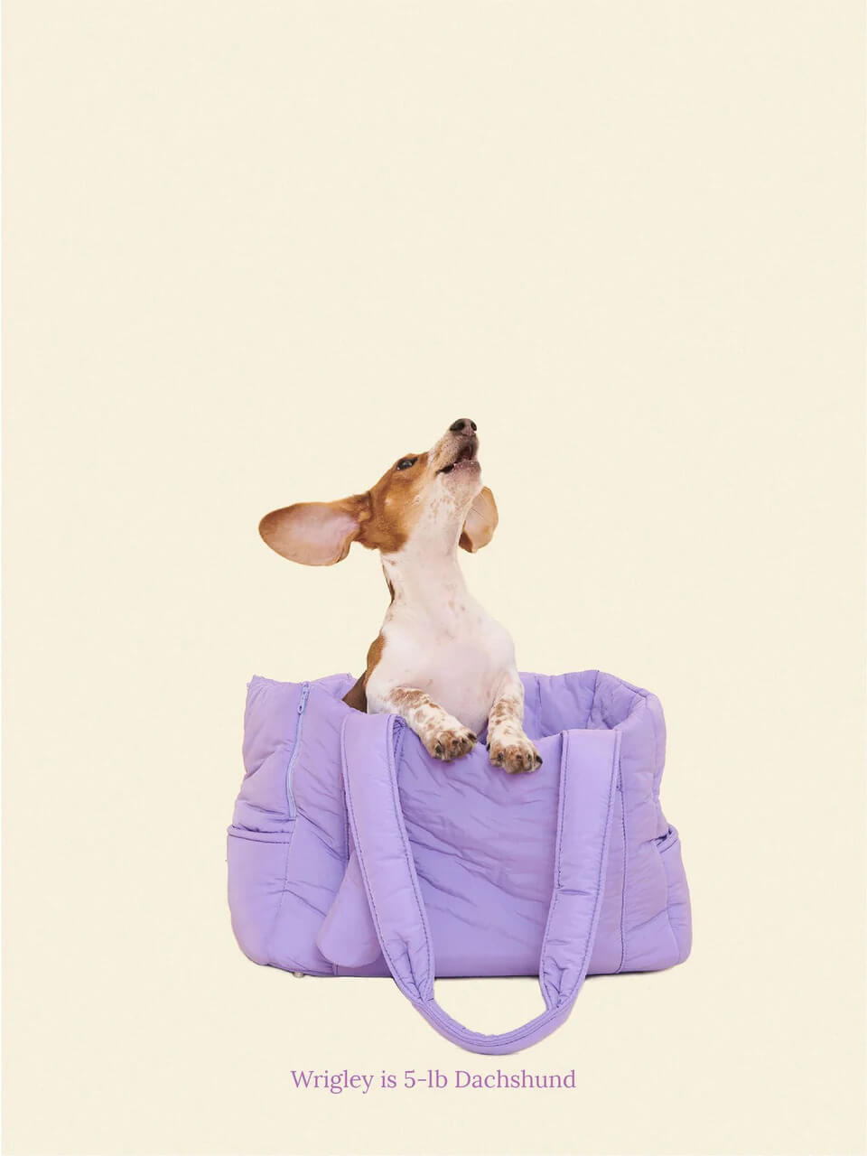 The Like Daily Carrier - Ube