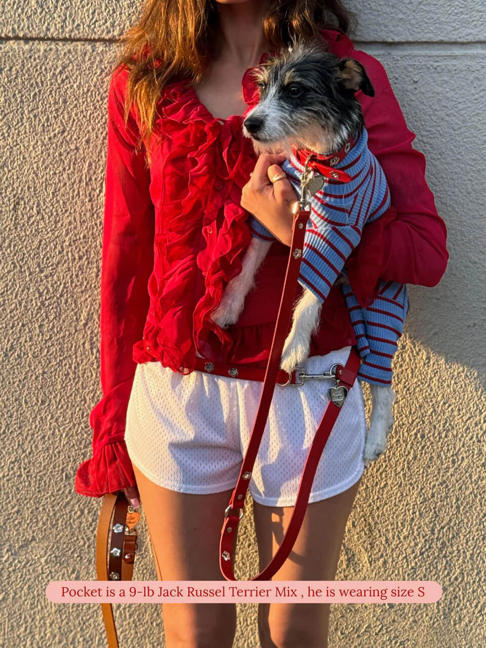 Ruby - Flower Power Collar