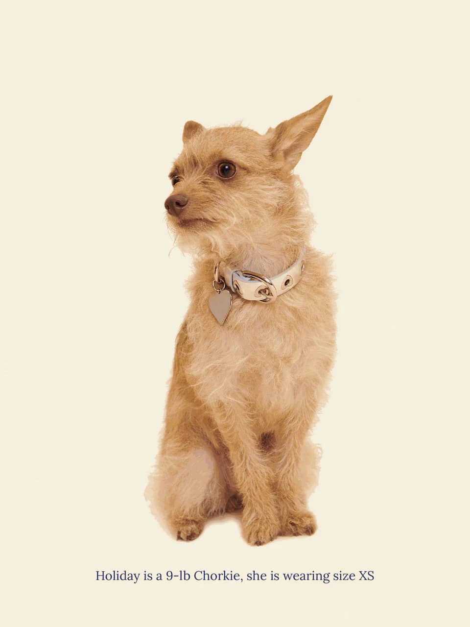 You Mean The World To Me Collar - Silver