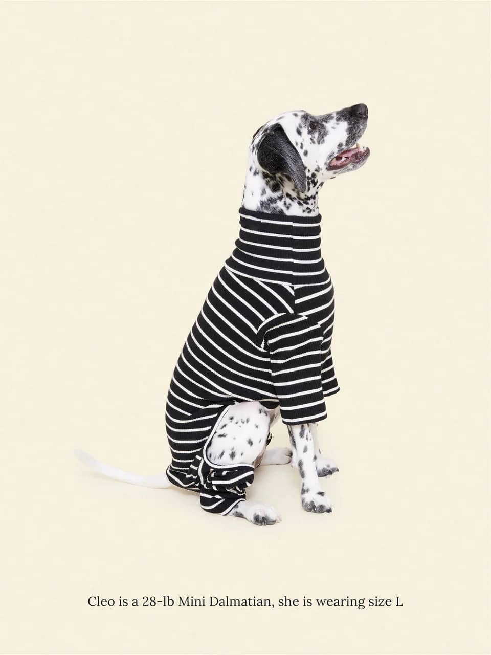 Café in Paris Onesie
