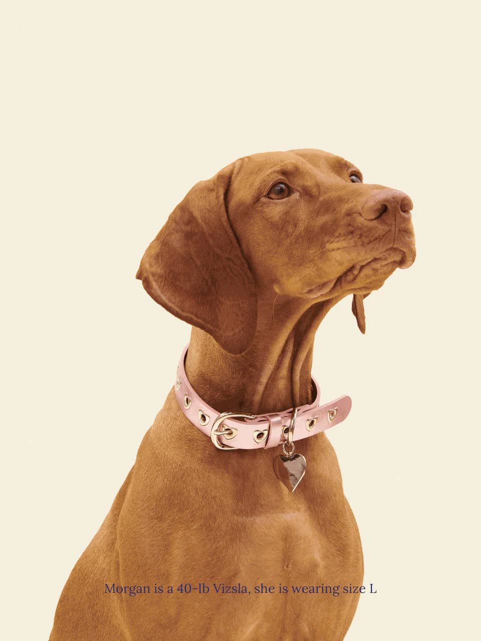 You Mean The World To Me Collar - Pink