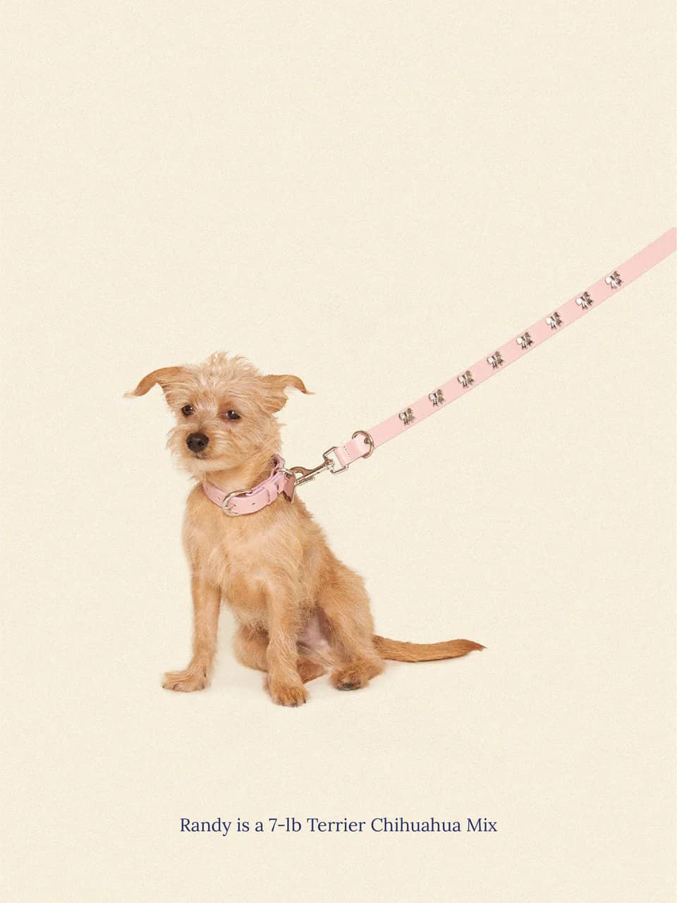 Audrey Leash π - Ian Charms