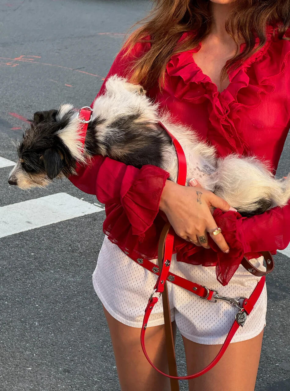 Ruby - Flower Power Leash