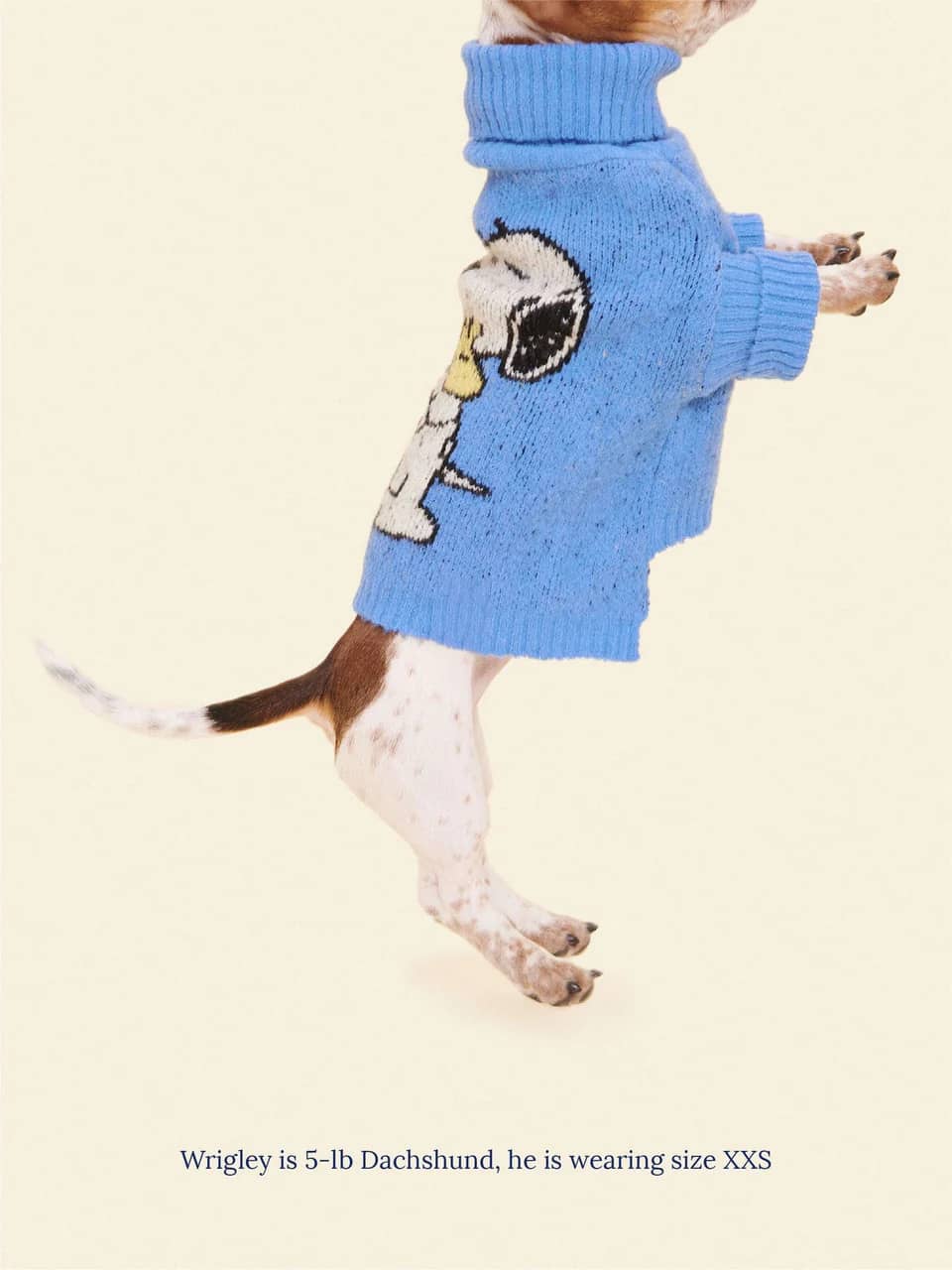 A Snoopy Sweater - PEANUTS