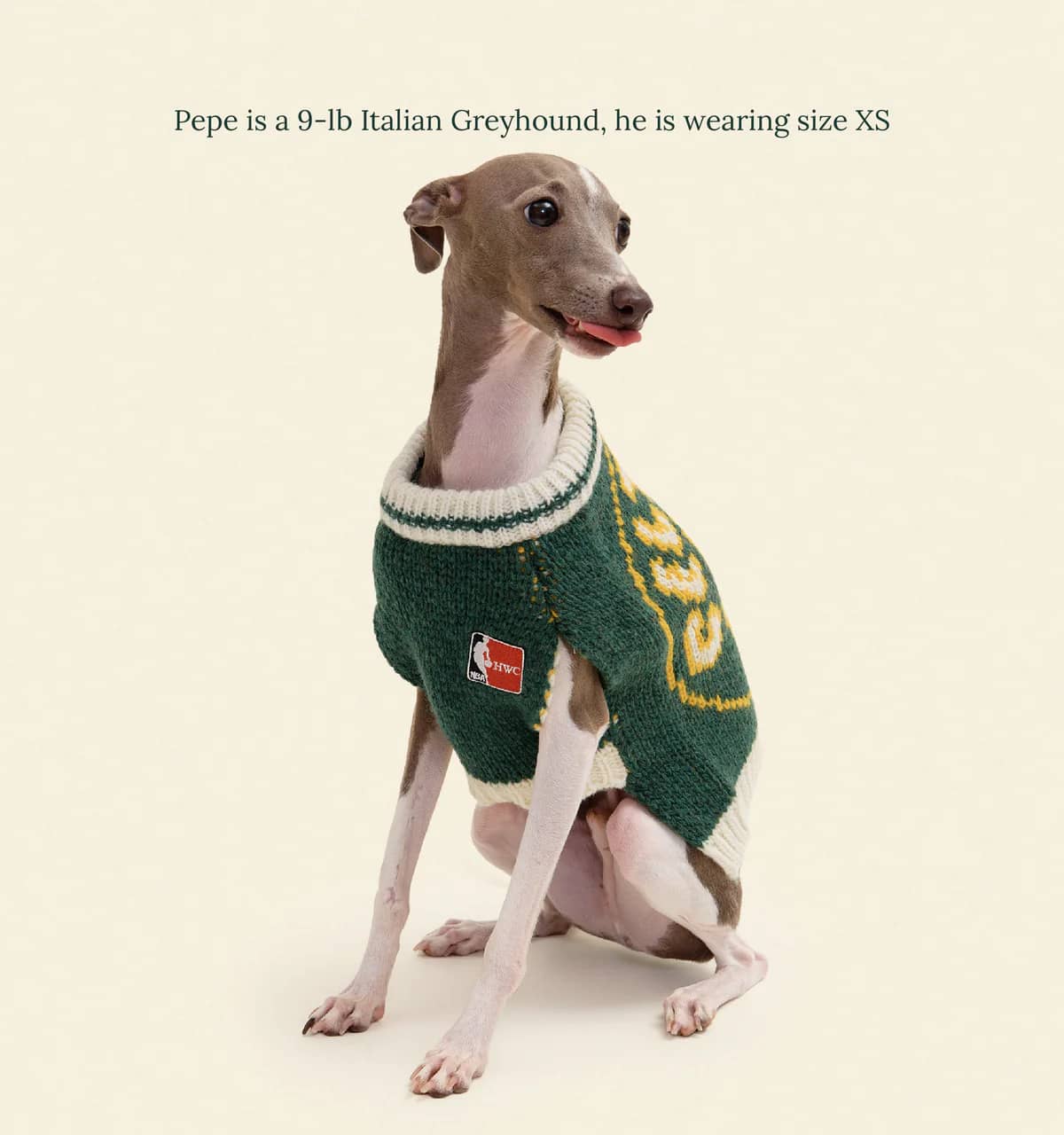 Boston Celtics Dog Sweater