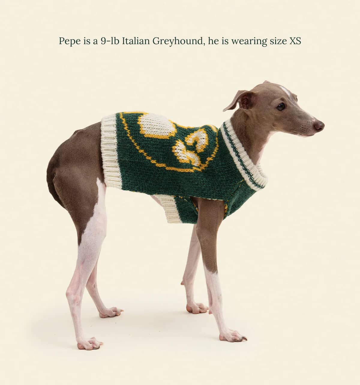 Boston Celtics Dog Sweater