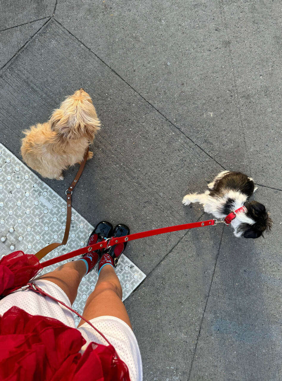 Ruby - Flower Power Leash