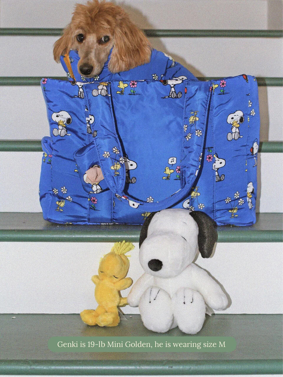 Snoopy and Woodstock Puffer Carrier - PEANUTS