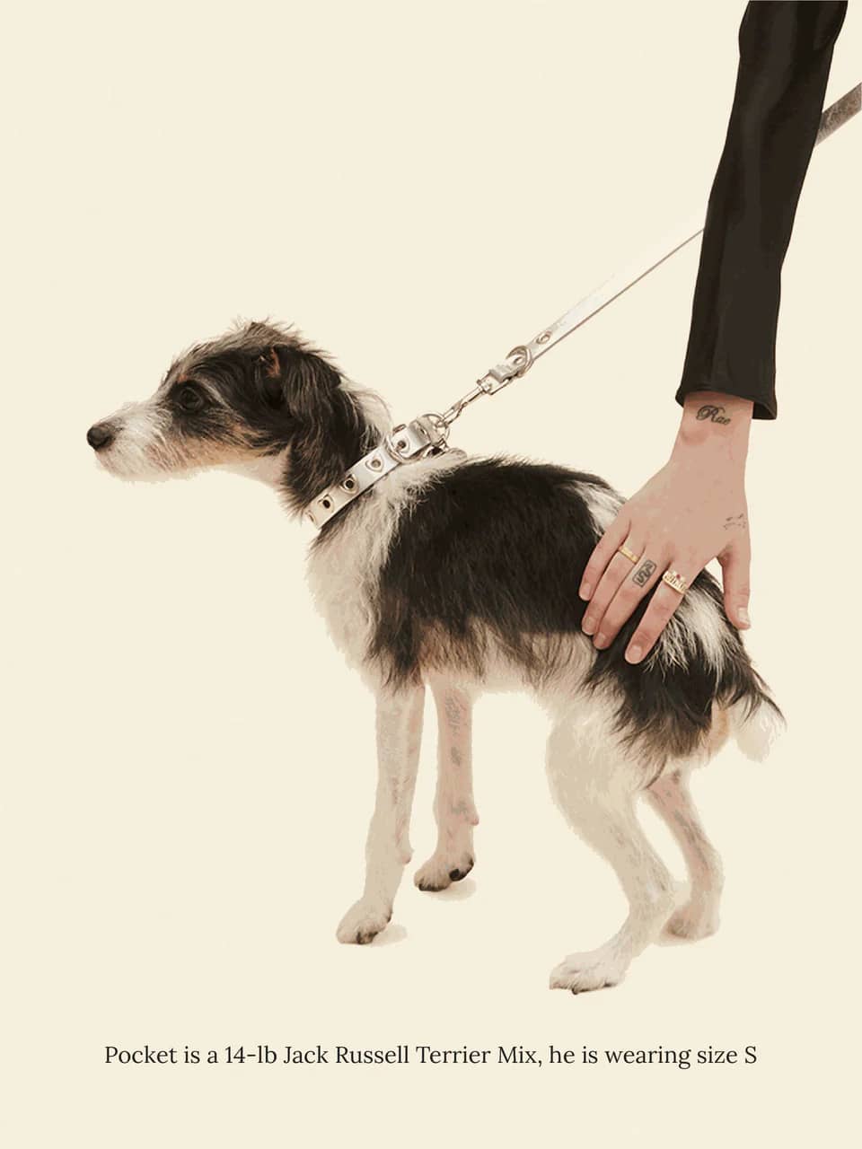 You Mean The World To Me Collar - Silver