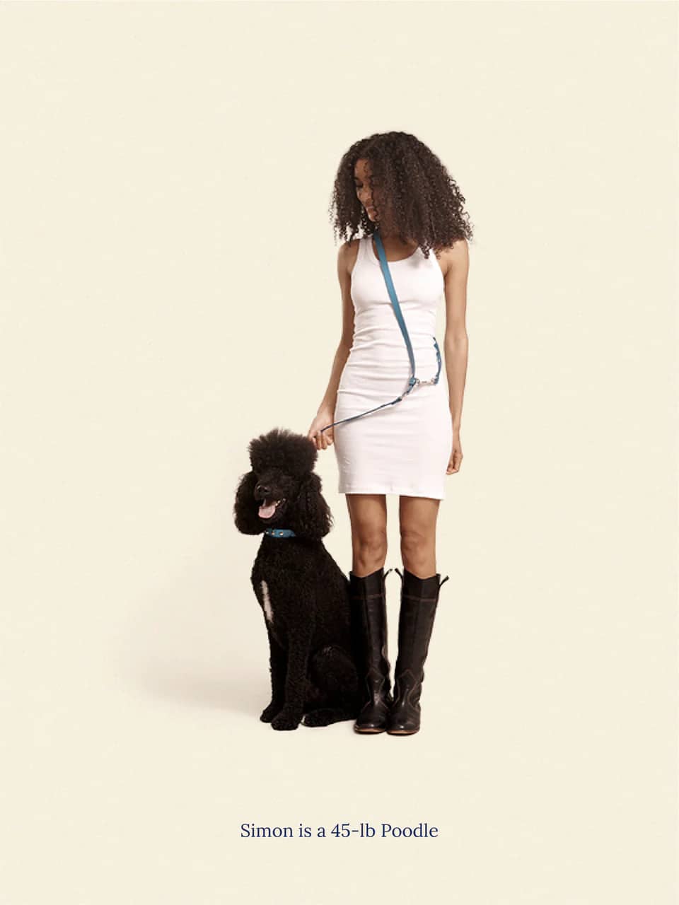 Cowboy Leash - Aqua