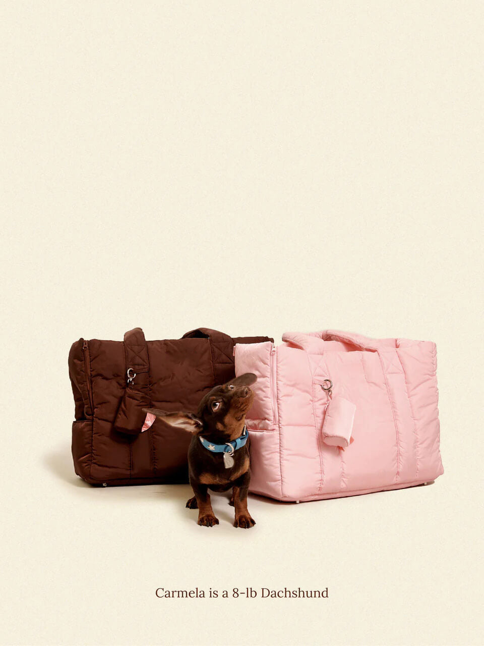 The Like Daily Carrier - Hazel