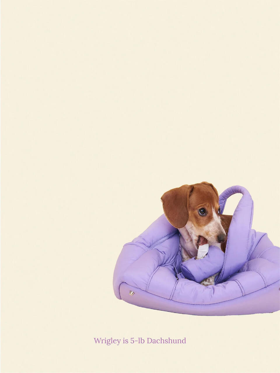 The Like Daily Carrier - Ube