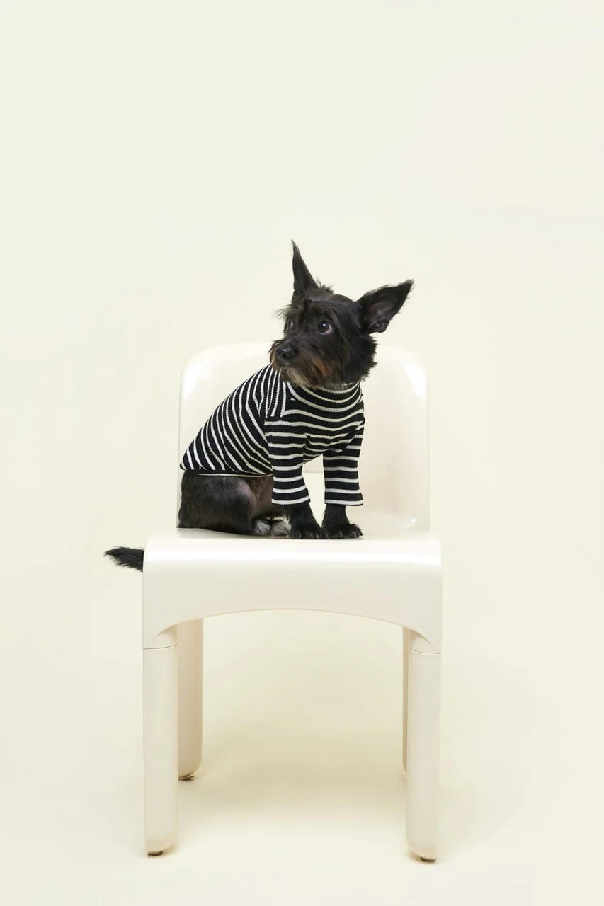 Café in Paris Sweatshirt