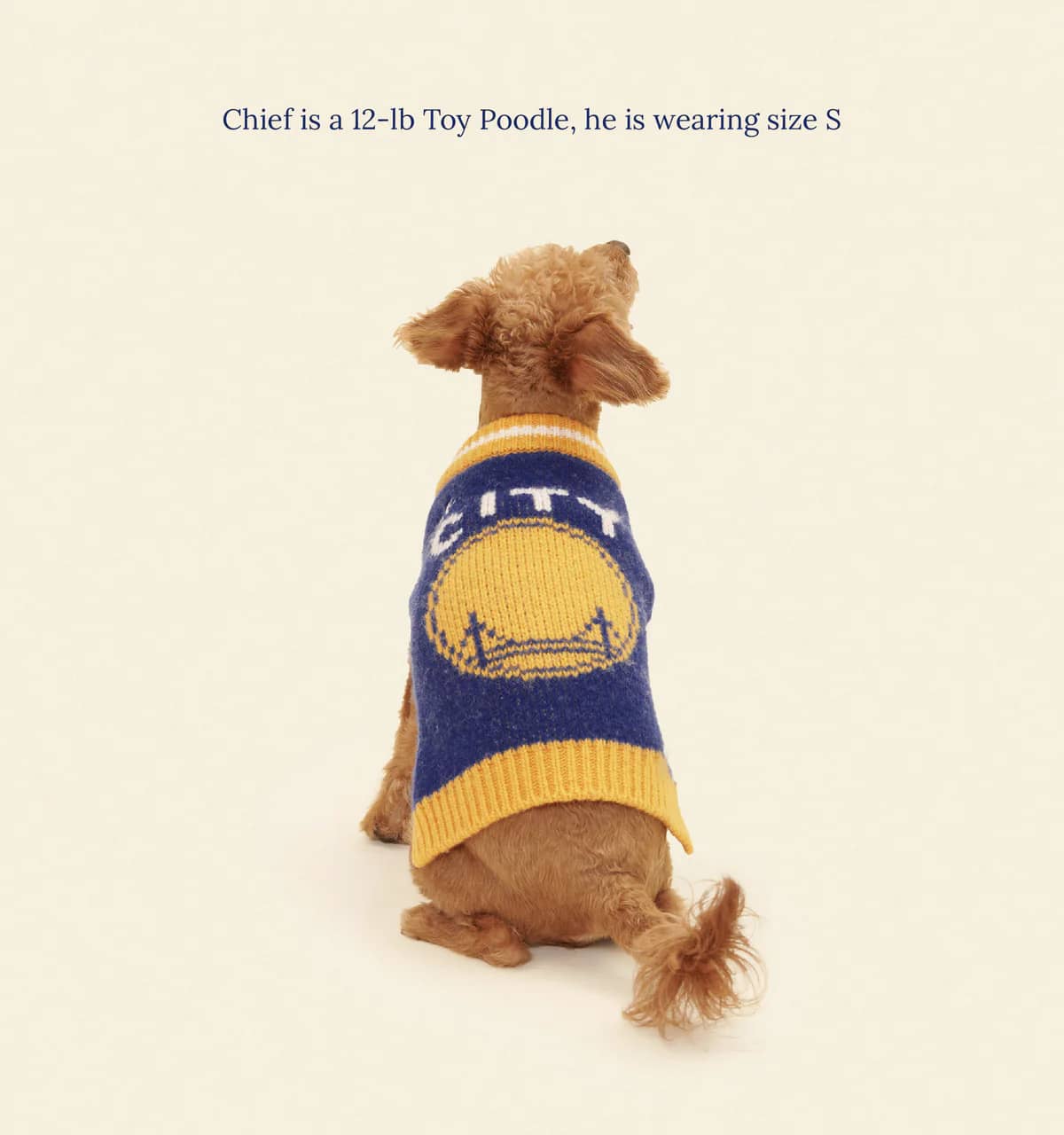 Golden State Warriors Dog Sweater