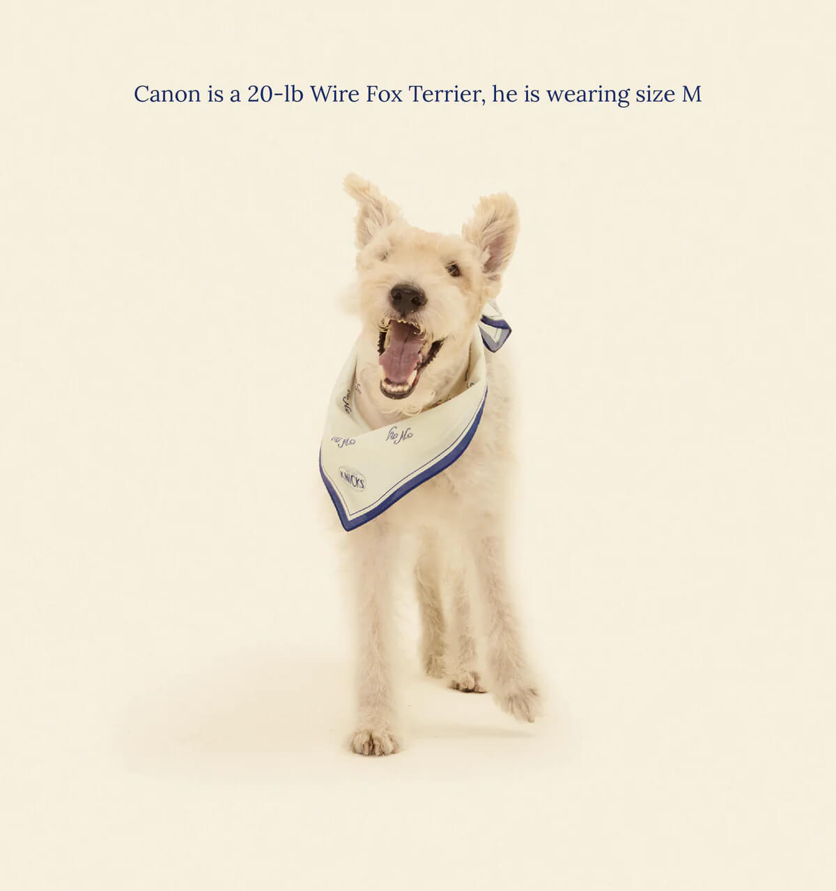 New York Knicks Bandana
