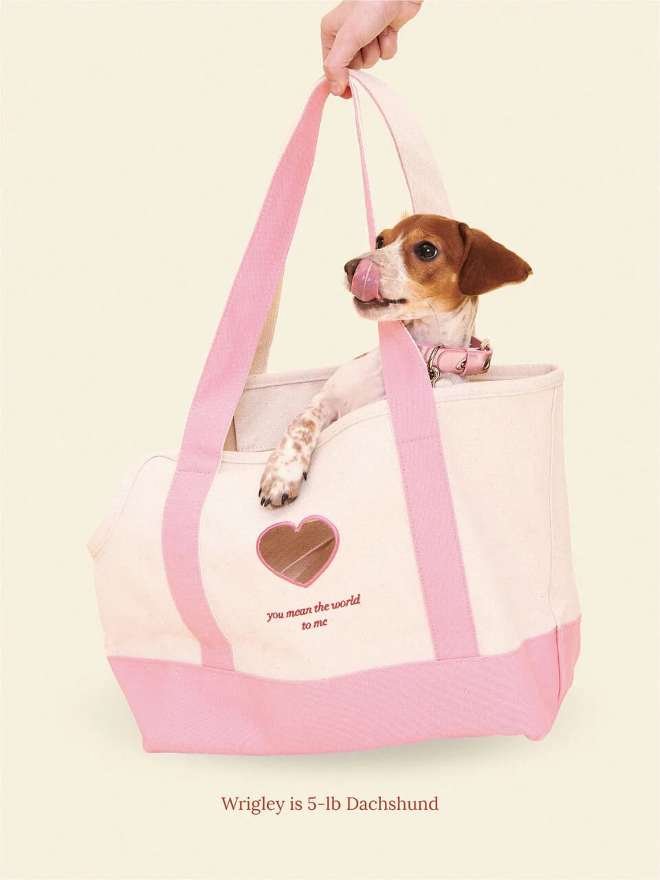 You Mean The World To Me Tote - Pink