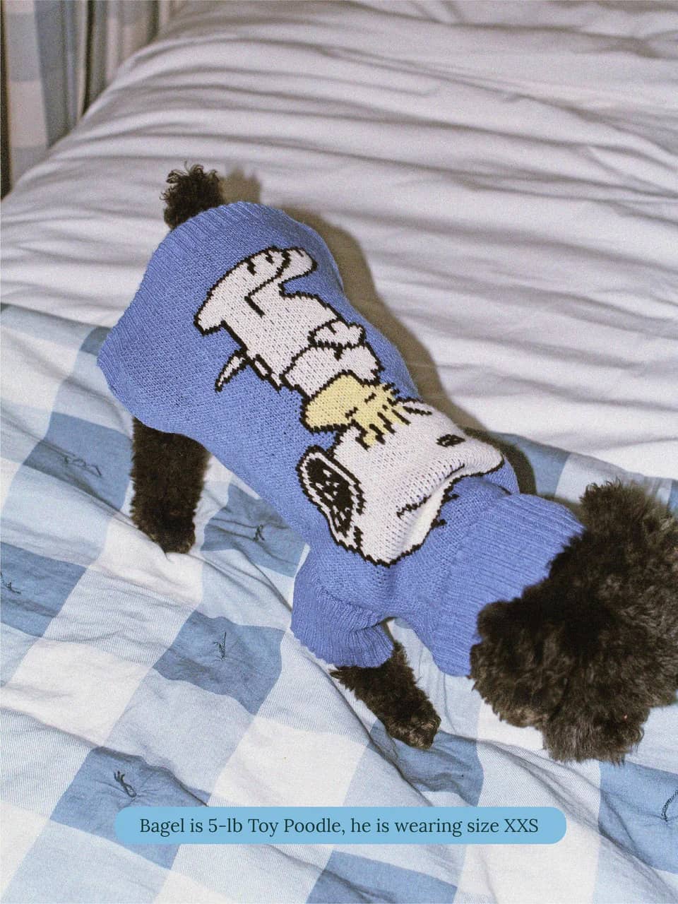 A Snoopy Sweater - PEANUTS