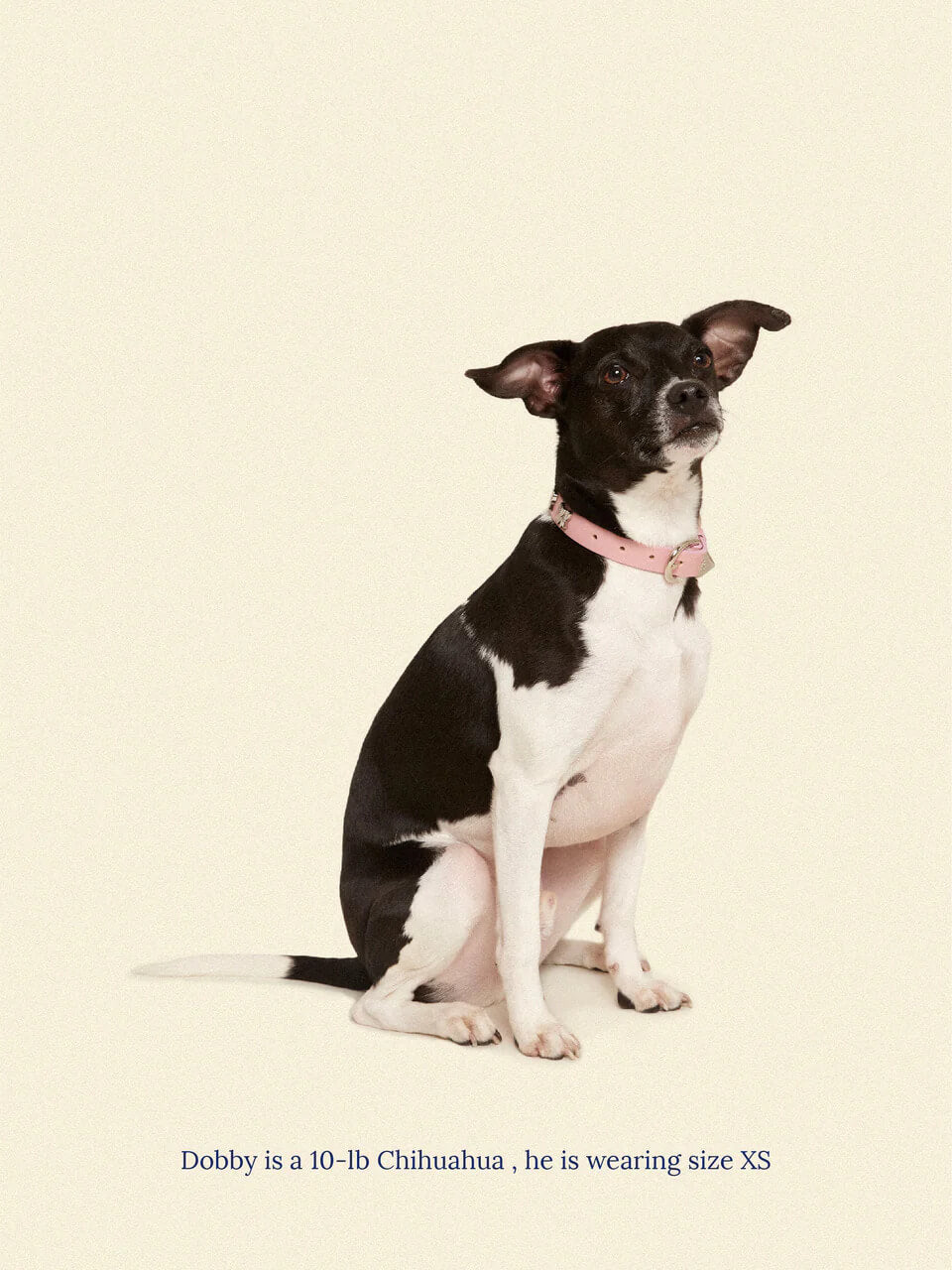 Audrey Collar π - Ian Charms