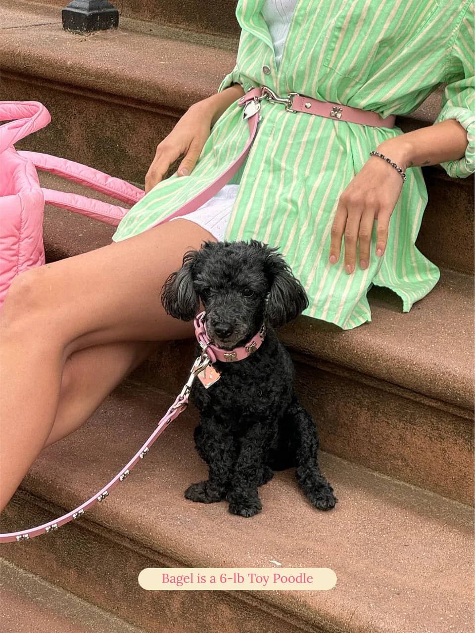 Audrey Leash π - Ian Charms