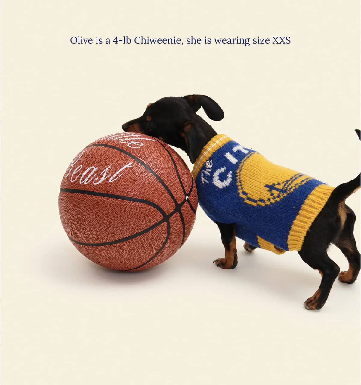 Golden State Warriors Dog Sweater