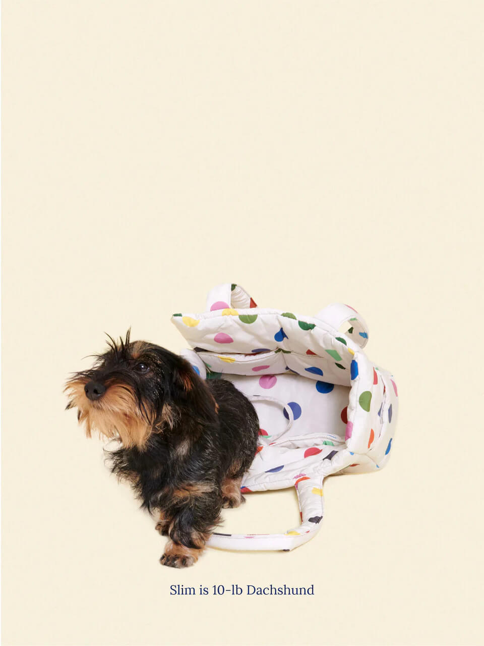 The Like Daily Carrier - Damien