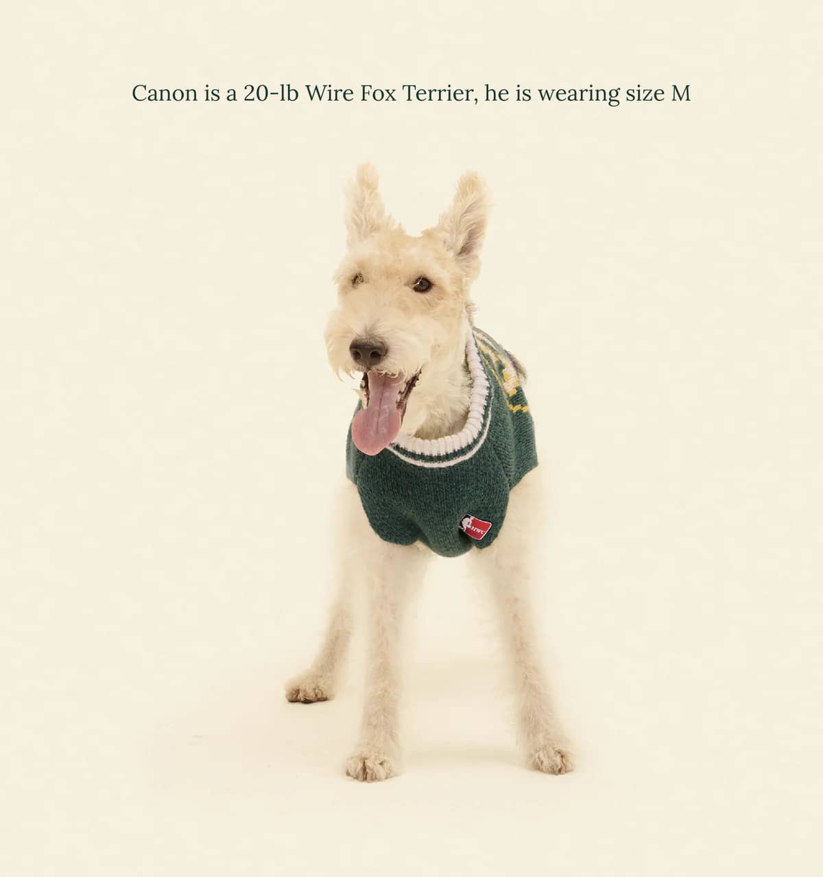 Boston Celtics Dog Sweater