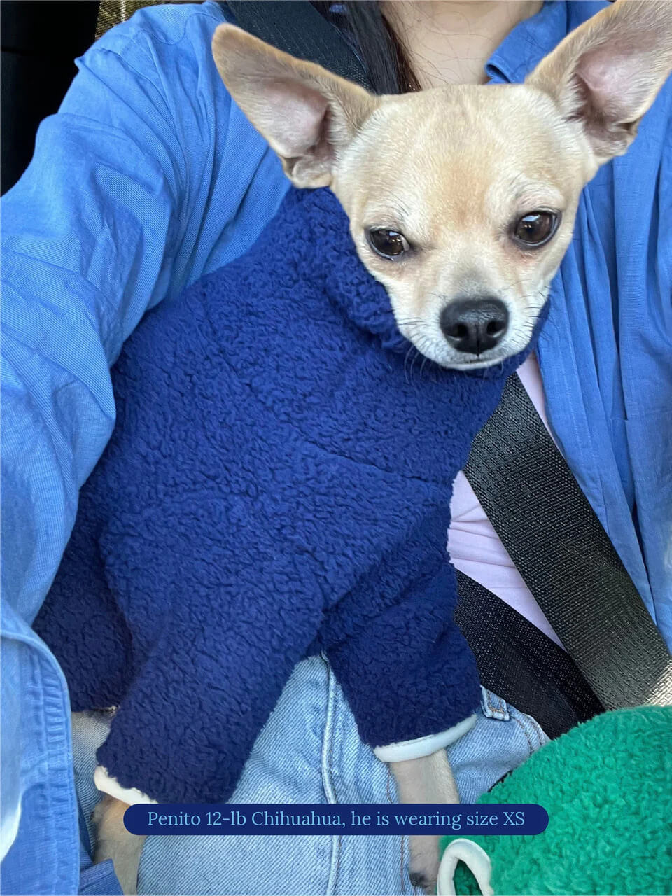 Royal Fleece Onesie