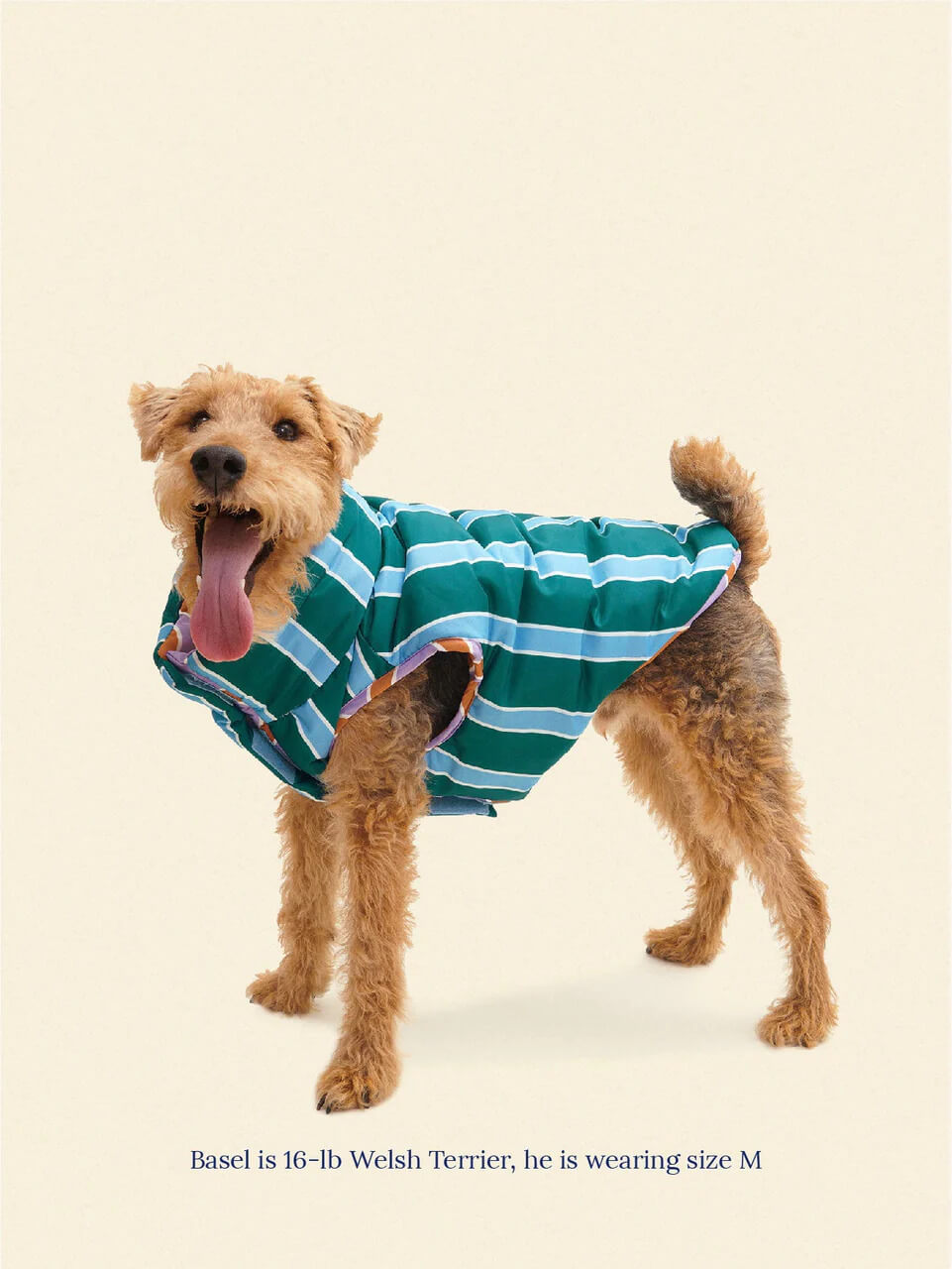 The Piscine Puffer Jacket - Dusen Dusen