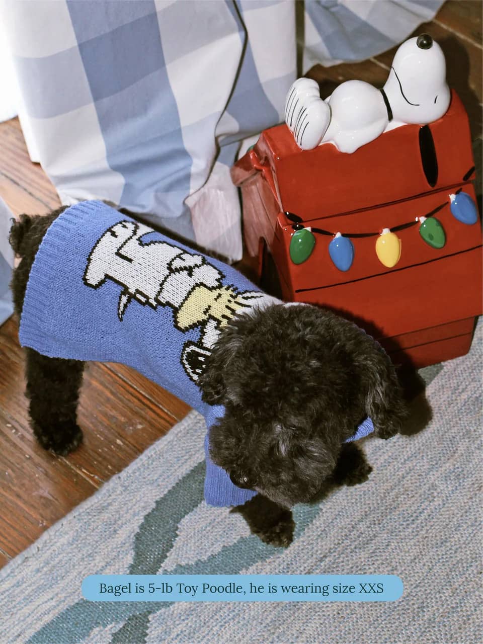 A Snoopy Sweater - PEANUTS