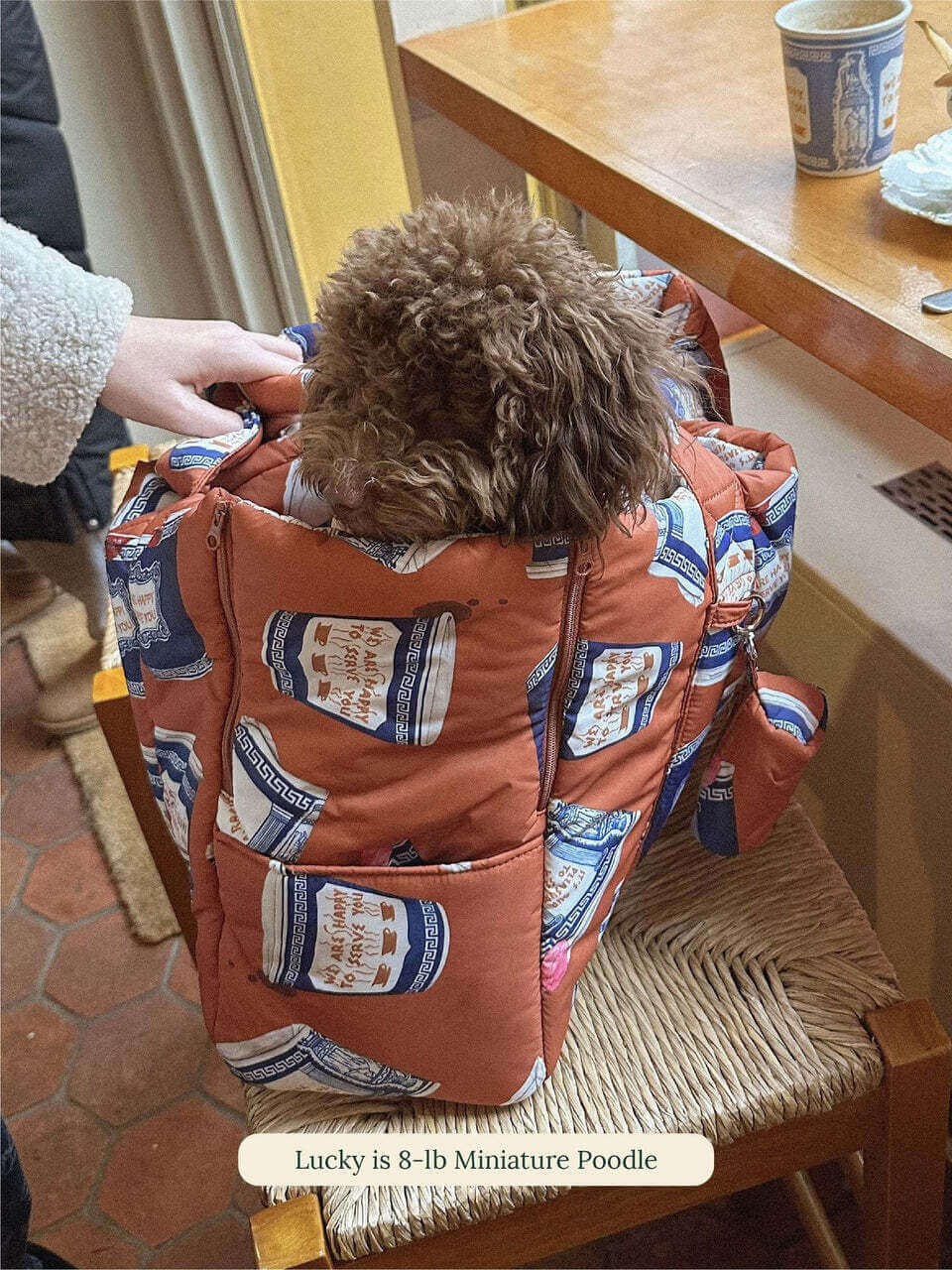 Coffee Cup Puffer Carrier - Rachel Antonoff