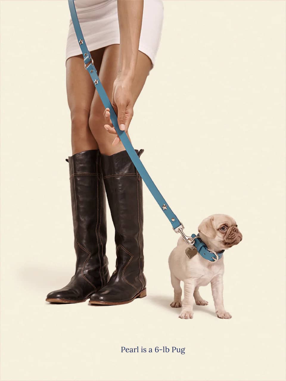 Cowboy Leash - Aqua