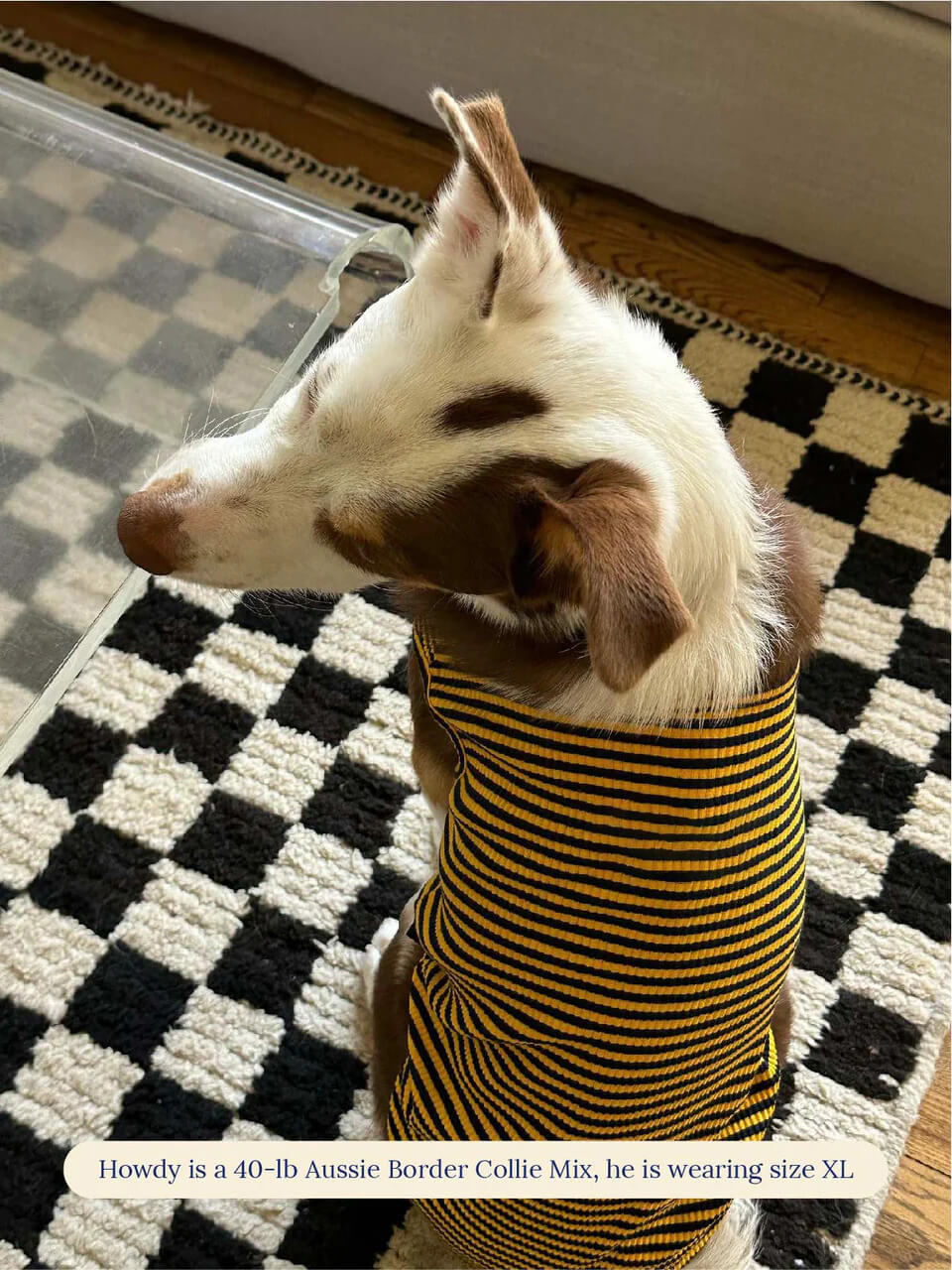 Met on Bumble Sleeveless Shirt