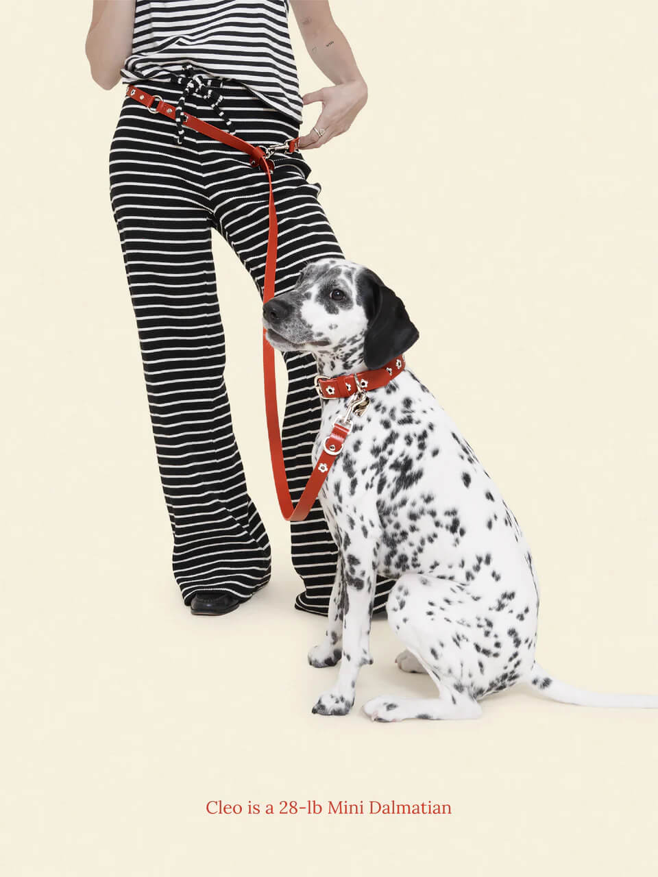 Ruby - Flower Power Leash