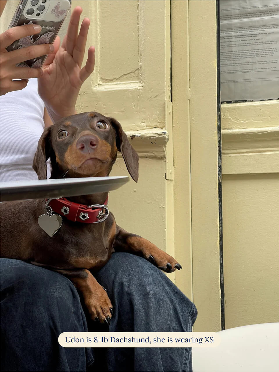 Ruby - Flower Power Collar